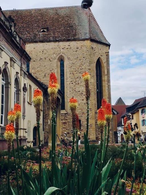 Les Gites De La Poterne Rouffach Exteriér fotografie